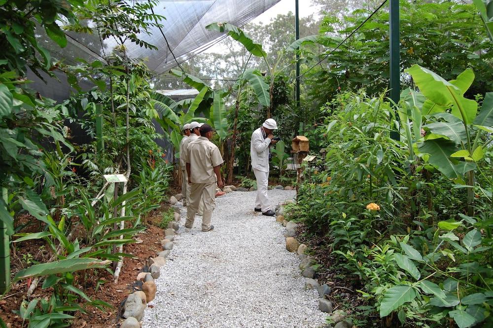 Gamboa Rainforest Reserve Exterior photo